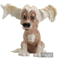 Chelsea Chinese Crested Dog
